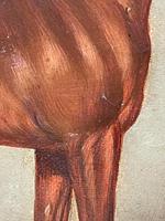 Victorian Oil Painting Chestnut Horse Portrait In Stable Signed Edwin Loder (32 of 42) Victorian Oil Painting Chestnut Horse Portrait In Stable Signed Edwin Loder (32 of 42)