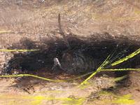 Pair of Victorian 19th Century Oil Paintings Terrier Dogs Ratting Signed J Langlois (20 of 35) Pair of Victorian 19th Century Oil Paintings Terrier Dogs Ratting Signed J Langlois (20 of 35)