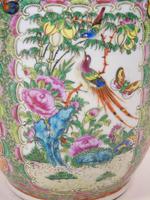 Good Large Pair of Chinese Famille Rose Rouleau Vases 19th Century (3 of 11) Good Large Pair of Chinese Famille Rose Rouleau Vases 19th Century (3 of 11)