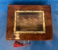 Victorian Walnut Display Box (3 of 11) Victorian Walnut Display Box (3 of 11)