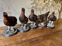 Item Additional Image