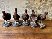 Item Additional Image