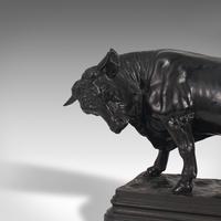 Antique Bull Figure, Austrian, Bronze, Study, Statue c.1900 (12 of 12) Antique Bull Figure, Austrian, Bronze, Study, Statue c.1900 (12 of 12)