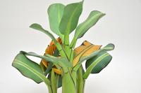 Vintage South Amercian Carved Wood Banana Tree Sculpture (10 of 10) Vintage South Amercian Carved Wood Banana Tree Sculpture (10 of 10)