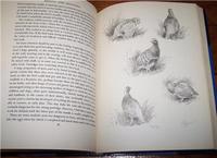 1951 Shoots & Shooting by E. C. Keith, 1st Edition, Signed by Illustrator (3 of 4) 1951 Shoots & Shooting by E. C. Keith, 1st Edition, Signed by Illustrator (3 of 4)