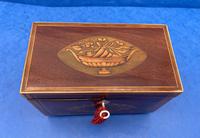 Georgian Mahogany Tea Caddy with Harewood Floral Panels (8 of 13) Georgian Mahogany Tea Caddy with Harewood Floral Panels (8 of 13)