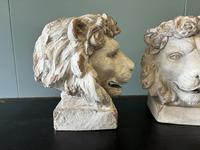 Item Additional Image