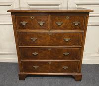 Lovely Antique Burr Walnut Chest of Drawers (3 of 14) Lovely Antique Burr Walnut Chest of Drawers (3 of 14)