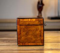 Twin Burr Walnut Tea Caddy 1870 (7 of 9) Twin Burr Walnut Tea Caddy 1870 (7 of 9)