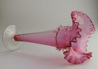 A Large Cranberry Glass Jack in Pulpit Vase C.19thc (6 of 8) A Large Cranberry Glass Jack in Pulpit Vase C.19thc (6 of 8)