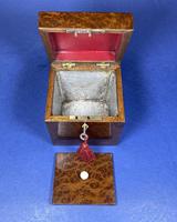 Late Victorian Burr Yew Single Tea Caddy (21 of 32) Late Victorian Burr Yew Single Tea Caddy (21 of 32)