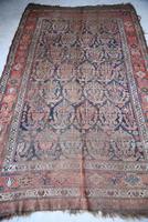 Antique Afshar Rug (7 of 12) Antique Afshar Rug (7 of 12)