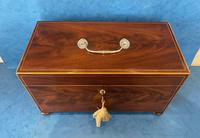 George III Mahogany Twin Canister Tea Caddy (3 of 17) George III Mahogany Twin Canister Tea Caddy (3 of 17)