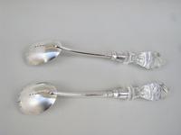 Good Pair of Victorian Solid Silver & Cut Glass Salad Servers by Thomas Prime & Son, Birmingham 1890 (2 of 4) Good Pair of Victorian Solid Silver & Cut Glass Salad Servers by Thomas Prime & Son, Birmingham 1890 (2 of 4)