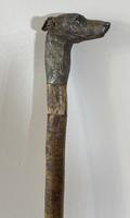 Late Victorian Birch Greyhound Walking Stick (7 of 21) Late Victorian Birch Greyhound Walking Stick (7 of 21)