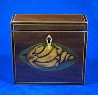 Georgian Mahogany Shell Inlaid Single Tea Caddy (4 of 15) Georgian Mahogany Shell Inlaid Single Tea Caddy (4 of 15)