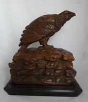 Rare and beautiful carving of a young eagle, 19th century (6 of 6) Rare and beautiful carving of a young eagle, 19th century (6 of 6)
