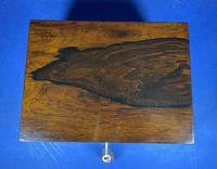 William IV Brazilian Rosewood Box (7 of 22) William IV Brazilian Rosewood Box (7 of 22)