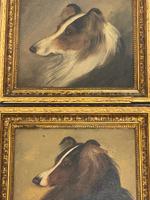 Pair of Scottish 19th Century Oil Paintings Rough Collie Dog Portraits After George Washington Brownlow (7 of 49) Pair of Scottish 19th Century Oil Paintings Rough Collie Dog Portraits After George Washington Brownlow (7 of 49)