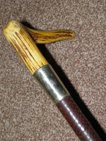 Vintage SWAINE ADENEY BRIGG Plaited Leather Gents Hunt Whip W/Beaufort Thong (3 of 8) Vintage SWAINE ADENEY BRIGG Plaited Leather Gents Hunt Whip W/Beaufort Thong (3 of 8)