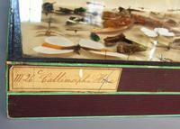 Large Antique Specimen Butterfly & Insect Case (8 of 10) Large Antique Specimen Butterfly & Insect Case (8 of 10)