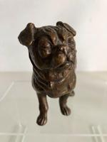 Antique Austrian Bronze Inkwell In The Form Of A Pug (2 of 8) Antique Austrian Bronze Inkwell In The Form Of A Pug (2 of 8)