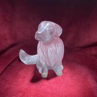Lalique "Golden Retriever" Sculpture with Original Label (2 of 9) Lalique "Golden Retriever" Sculpture with Original Label (2 of 9)