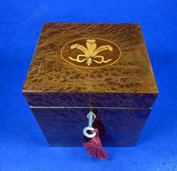 Late Victorian Burr Yew Single Tea Caddy (26 of 32) Late Victorian Burr Yew Single Tea Caddy (26 of 32)