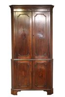 George III Standing Corner Cupboard