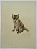Original print, drypoint engraving, Study of a Fox Cub, indistinctly signed, c1930 (3 of 6) Original print, drypoint engraving, Study of a Fox Cub, indistinctly signed, c1930 (3 of 6)