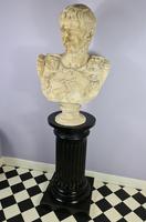 Large Plaster Bust of Augustus (2 of 7) Large Plaster Bust of Augustus (2 of 7)