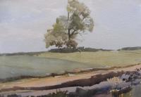 Watercolour Middlebere Heath Listed Artist Ronald Birch (8 of 10) Watercolour Middlebere Heath Listed Artist Ronald Birch (8 of 10)