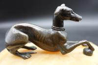 Early 20th Century Paperweight with a Well Modelled Figure of a Greyhound (3 of 6) Early 20th Century Paperweight with a Well Modelled Figure of a Greyhound (3 of 6)