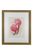 Sublime & Romantic Magnolias Chromolithograph 1903 (2 of 4) Sublime & Romantic Magnolias Chromolithograph 1903 (2 of 4)