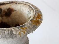 Pair of Vintage French Weathered Medici Urns (6 of 7) Pair of Vintage French Weathered Medici Urns (6 of 7)