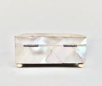 Victorian Large Mother of Pearl Needle Case c.1880 (8 of 9) Victorian Large Mother of Pearl Needle Case c.1880 (8 of 9)