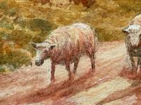 Watercolour "Returning Home" Shepherd Droving Flock Sheep by George Barker (5 of 31) Watercolour "Returning Home" Shepherd Droving Flock Sheep by George Barker (5 of 31)