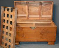 Camphor Wood Trunk (3 of 6) Camphor Wood Trunk (3 of 6)