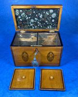 George III Satinwood Twin Tea Caddy with Prince of Wales Inlay (13 of 15) George III Satinwood Twin Tea Caddy with Prince of Wales Inlay (13 of 15)