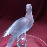 Lalique "Dove" Ring Dish in Clear & Frosted Glass with Original Label (3 of 8) Lalique "Dove" Ring Dish in Clear & Frosted Glass with Original Label (3 of 8)