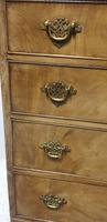 Regency Mahogany Chest of Four Drawers (7 of 8) Regency Mahogany Chest of Four Drawers (7 of 8)