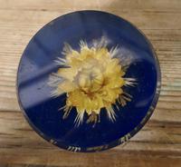 Collection of 4 Dried Flower Paper Weights (3 of 5) Collection of 4 Dried Flower Paper Weights (3 of 5)