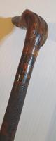 19th Century Carved Walking Stick with Greyhound Head Handle (5 of 9) 19th Century Carved Walking Stick with Greyhound Head Handle (5 of 9)