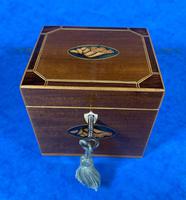 Georgian Single Mahogany Tea Caddy with Inlaid Shell (5 of 12) Georgian Single Mahogany Tea Caddy with Inlaid Shell (5 of 12)