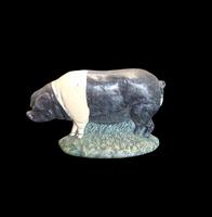 1920s Cast Iron Door Stop "A Saddleback Pig"