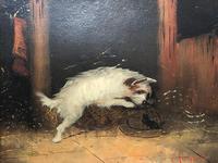 Pair of Victorian 19th Century Oil Paintings Terrier Dogs Ratting Signed J Langlois (16 of 35) Pair of Victorian 19th Century Oil Paintings Terrier Dogs Ratting Signed J Langlois (16 of 35)