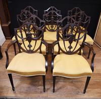 Set 10 Adams Shield Back Dining Chairs Mahogany (3 of 9) Set 10 Adams Shield Back Dining Chairs Mahogany (3 of 9)