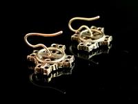 Antique Victorian Bohemian Garnet Flower Earrings, 9ct Gold (7 of 11) Antique Victorian Bohemian Garnet Flower Earrings, 9ct Gold (7 of 11)