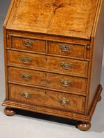 Small Early 20th Century Queen Anne Style Cabinet (4 of 5) Small Early 20th Century Queen Anne Style Cabinet (4 of 5)