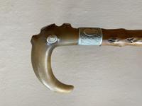 19th Century Horn Handled Walking Stick with White Metal Mounts & Collar (3 of 9) 19th Century Horn Handled Walking Stick with White Metal Mounts & Collar (3 of 9)
